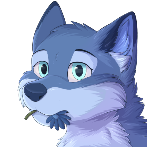 Previous avatar