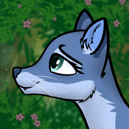 Previous avatar